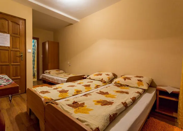 民宿 Siuchajsko 扎科帕内